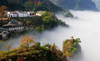 大黄山景区高质量发展联盟成立