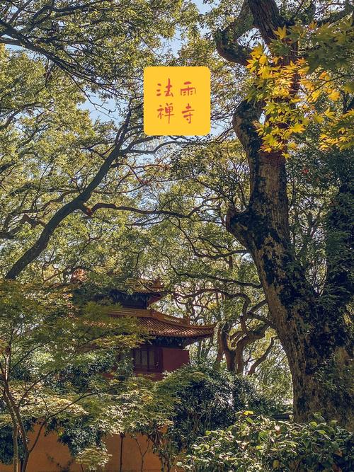 夏雨禅心法门寺的静谧与启迪