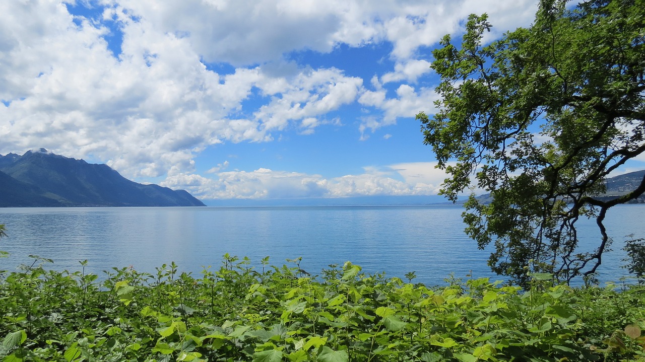 夏日炎炎，寻找清凉避暑胜地——暑假旅游好去处指南