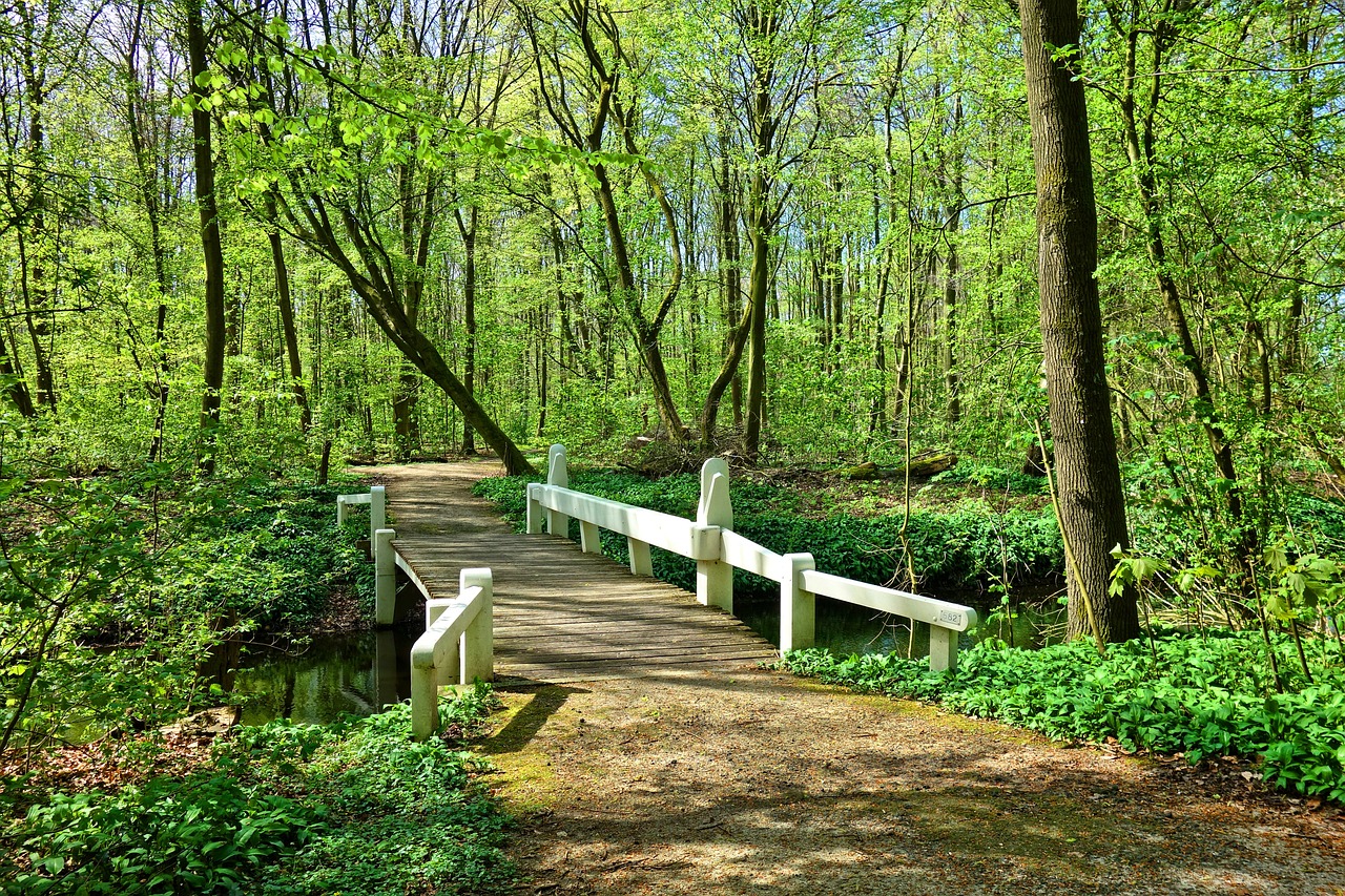 深藏秘境，疗愈之都——咸宁山湖温泉，天然养生的绿色乐园