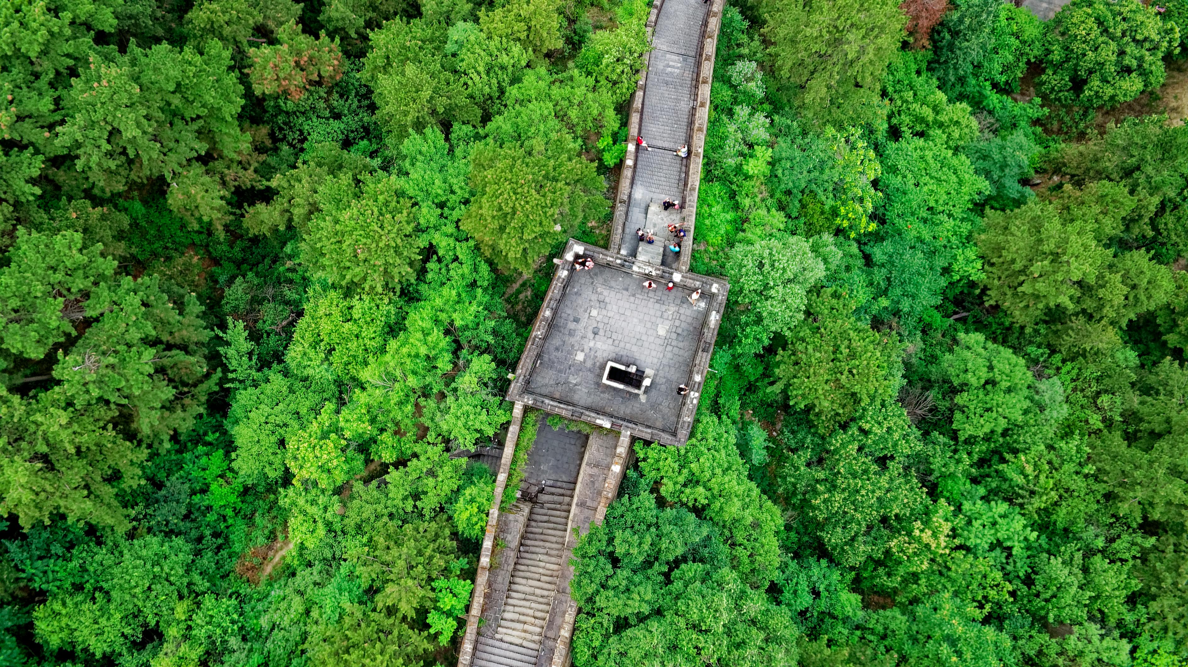 探索千年奇观，河内独柱寺——越南历史与文化的瑰宝