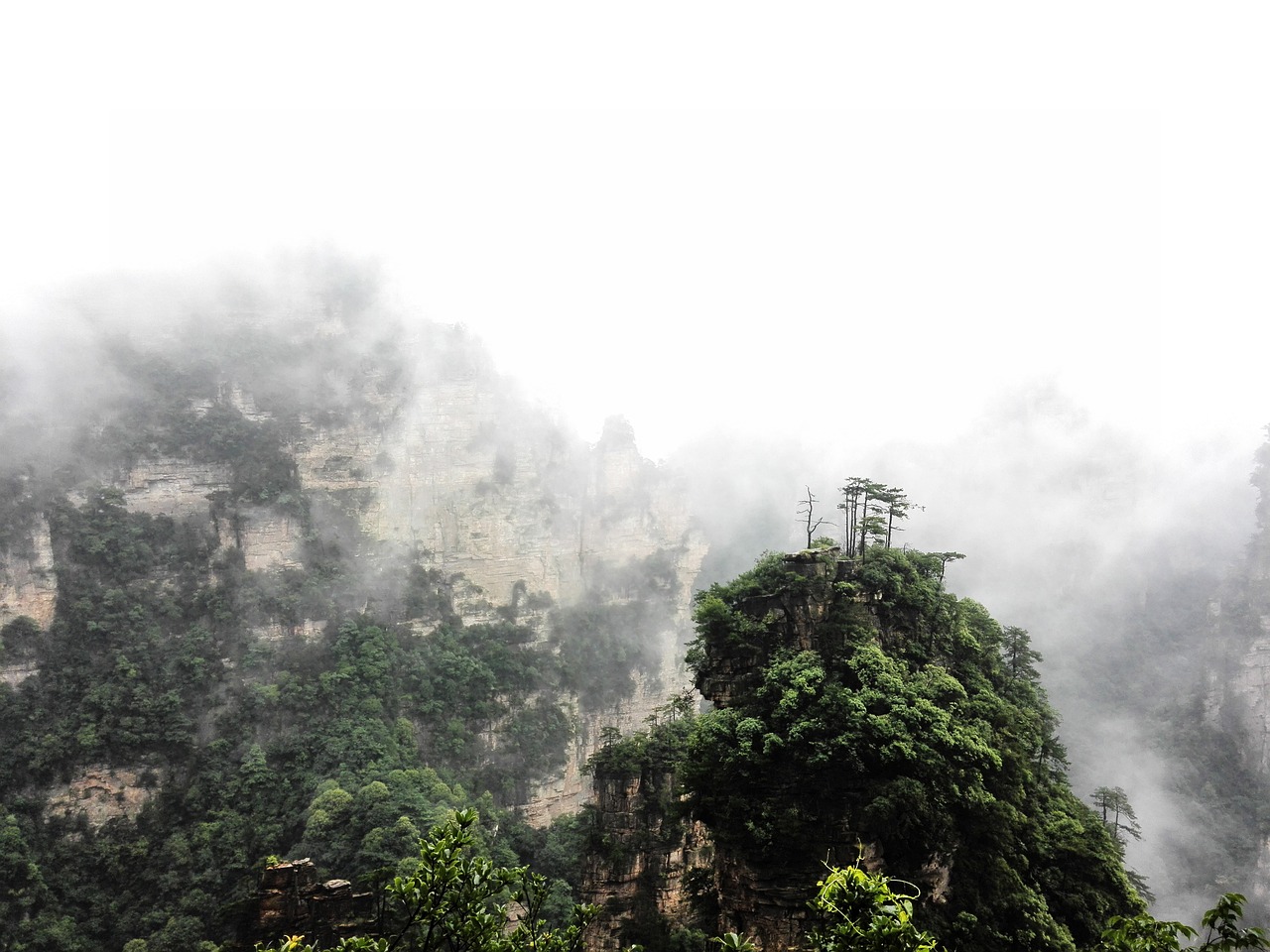 探秘奇峰异石，尽览张家界全景，一个深度文旅专家的带你游历天下瑰宝