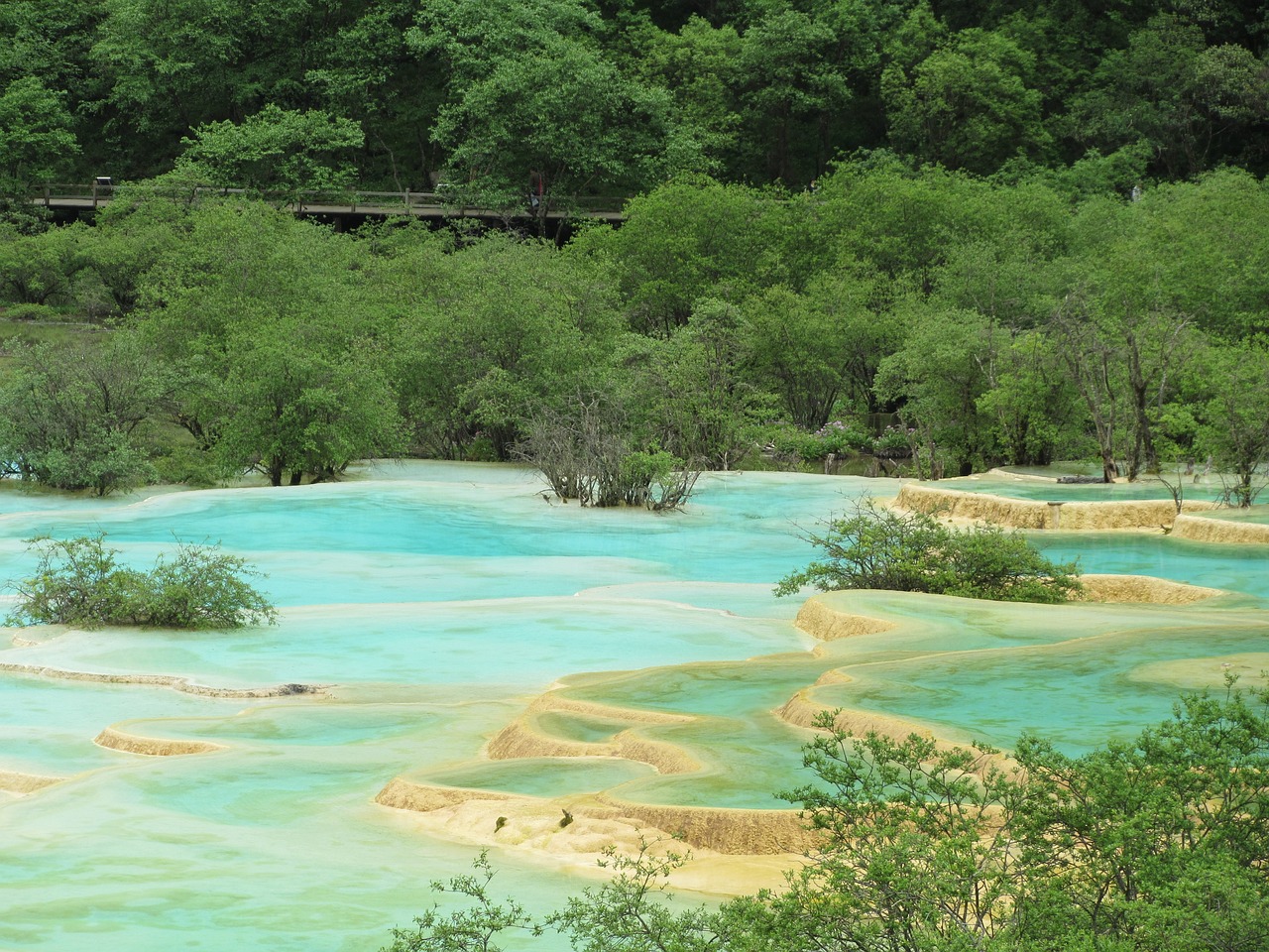 探索瑰丽天地，黄龙与九寨沟——中国西部的天堂级文化旅游胜地