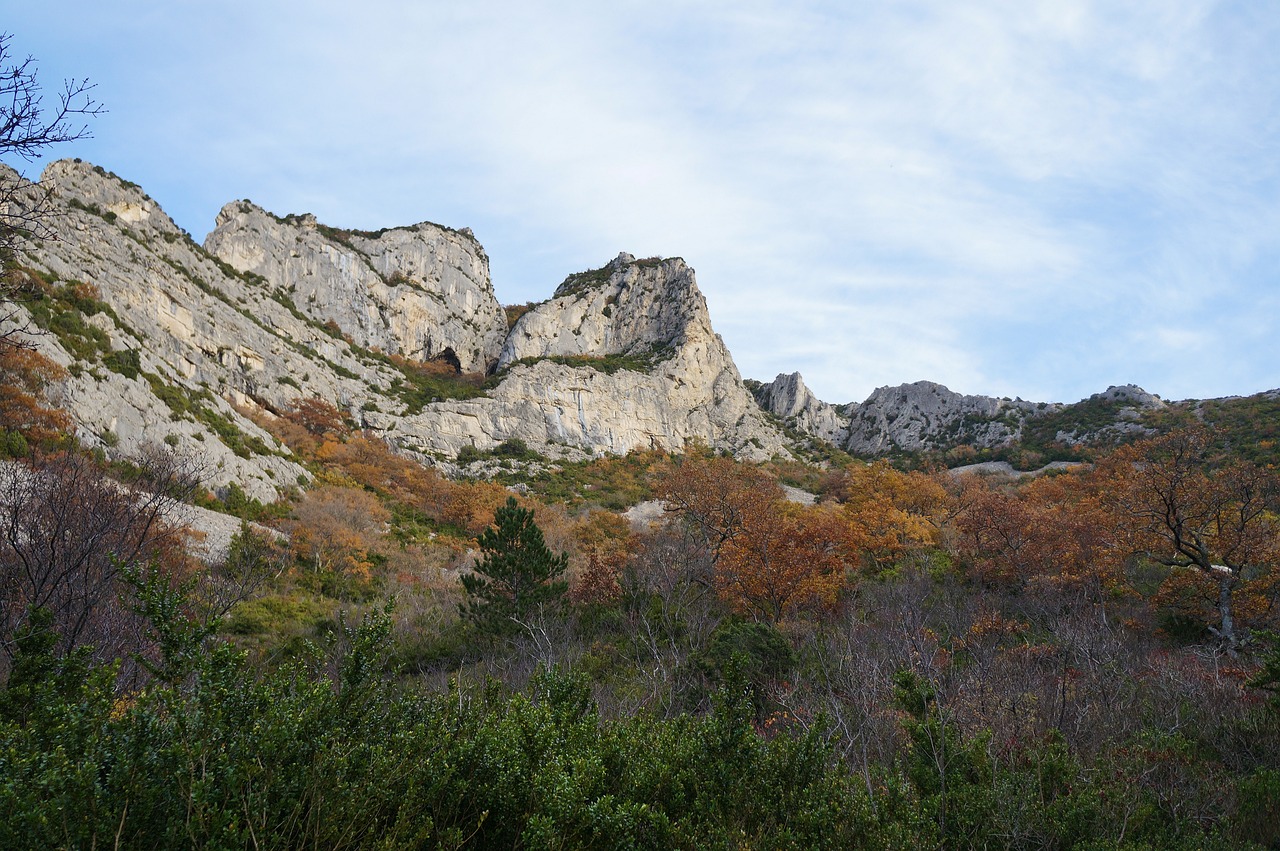 揭秘黄山景区的四季开放时间与旅游攻略全解析