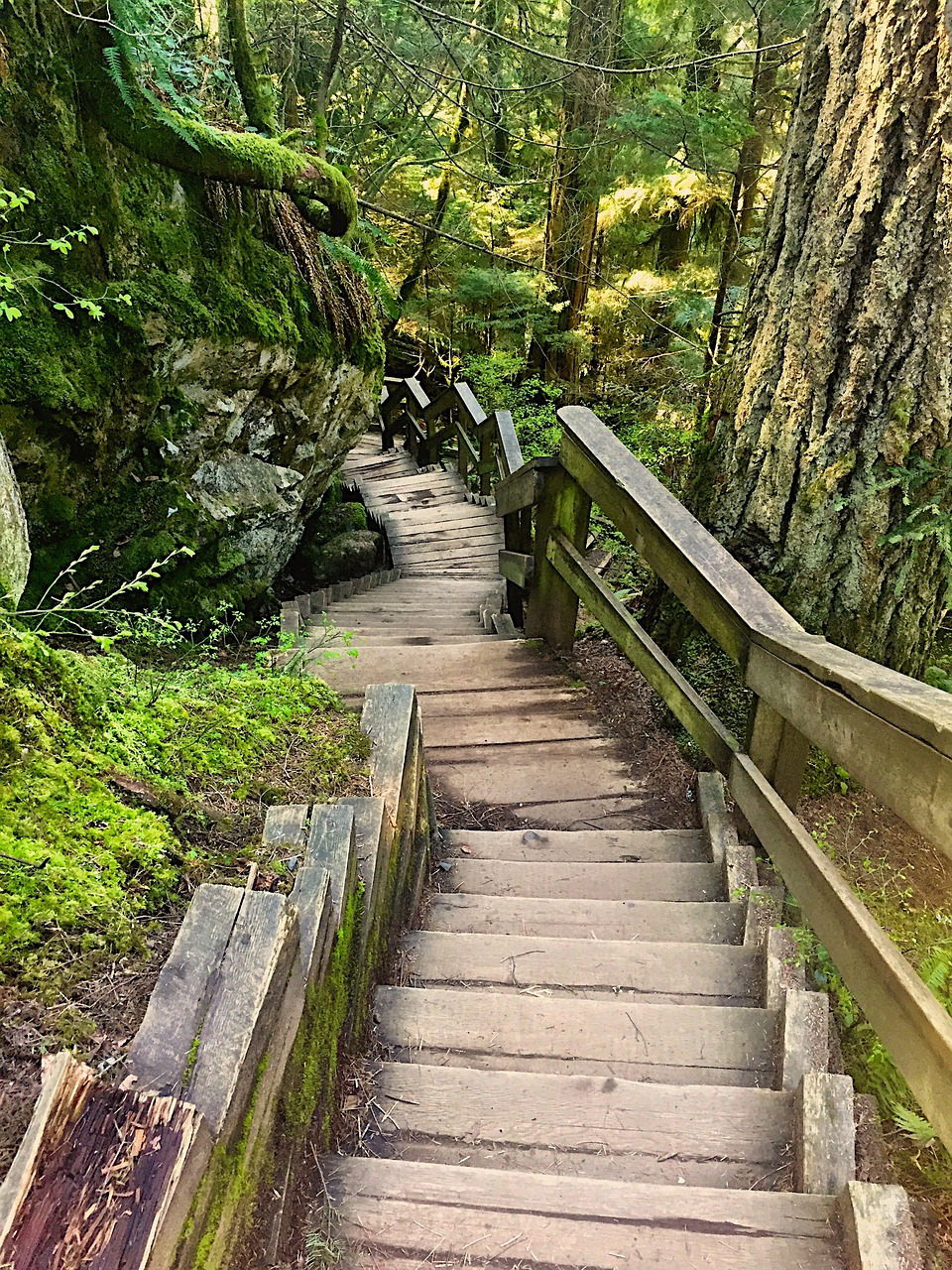 揭秘十八潭风景区门票价格策略，游览价值与市场考量的交织