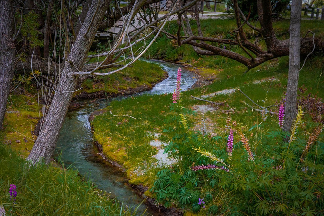 揭秘东北夏日避暑天堂，十大热门清凉胜地指南