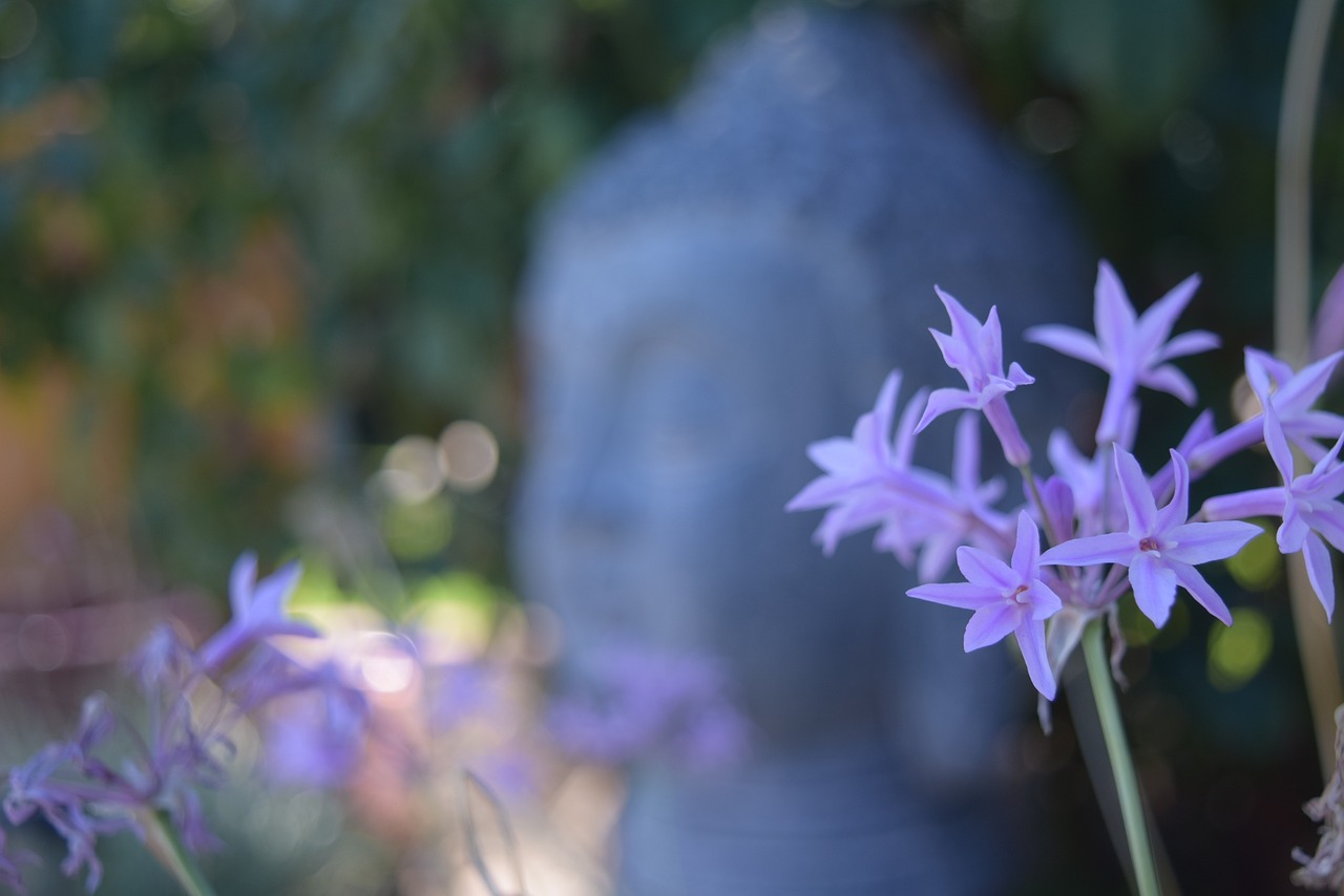 三年花十二万，博士学位轻松到手？深度解析快速博士现象