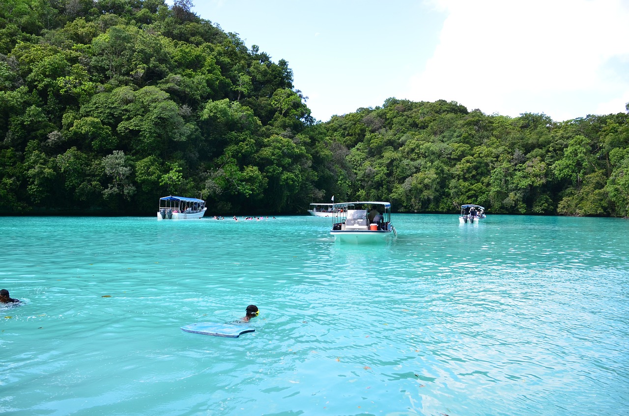 桂林四季皆有韵，最佳旅游时间选择攻略