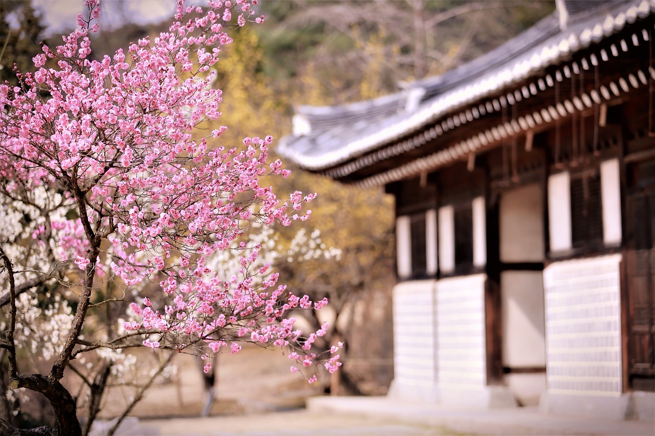 探秘安徽三月春韵，缤纷旅游目的地指南